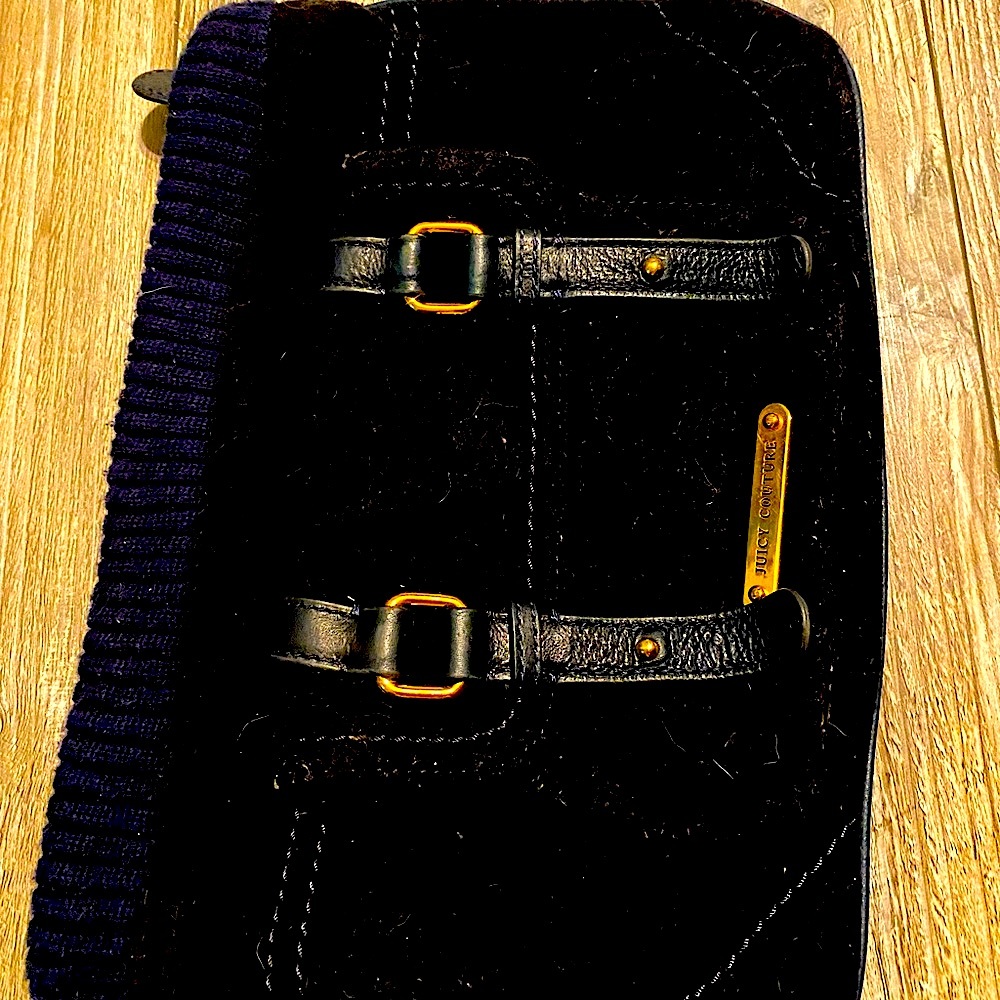 Juicy couture super rare clutch Y2K